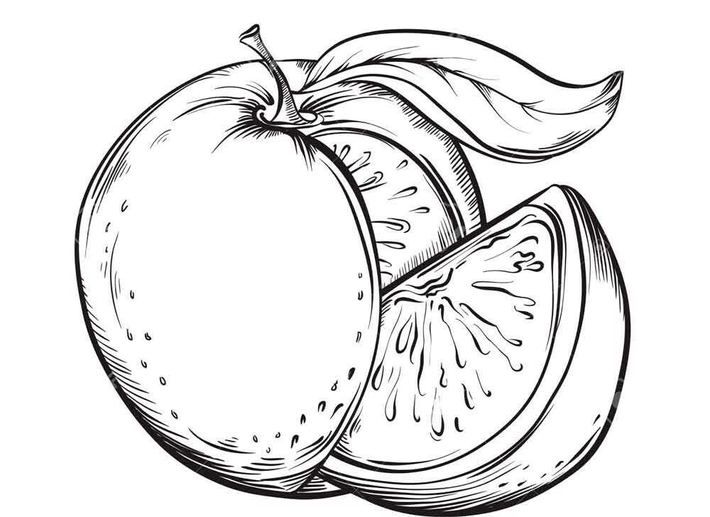 Grapefruit antistress coloring book